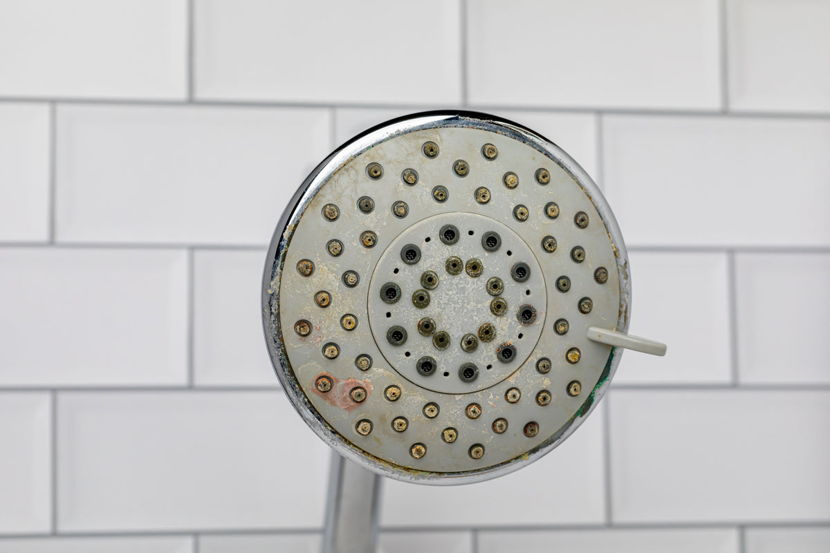 Close-up of a shower head with hard water mineral scale and iron buildup requiring a water hardness test kit.